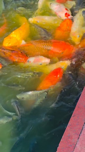 3K views · 175 reactions | Lord, thank You for granting me another...