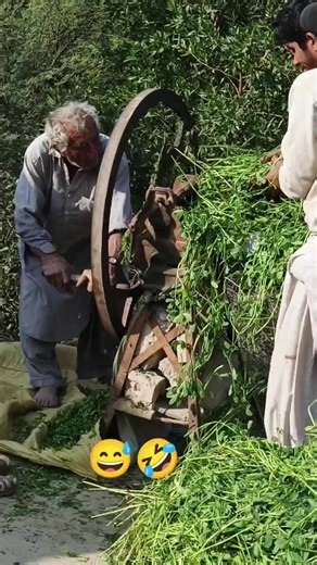 Sindhi Humor and Culture: A Fun Perspective