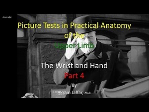 Picture Test in Anatomy Wrist and Hand 4 • Video • MEDtube.net