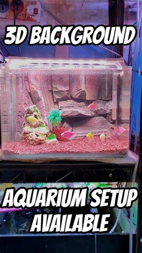 3D background | #aquarium #animals #fish #shorts