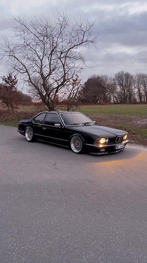 Vintage BMW Collection Showcase | Classic Cars and Luxury BMW Models