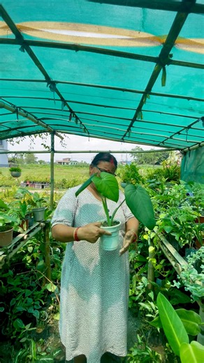 124K views · 2.9K reactions | Welcome to my little green world — my...