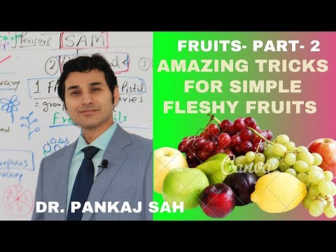 FRUITS - PART 2 (Simple- Fleshy and Dry Fruits) Learn & Memorize in 8 Minutes