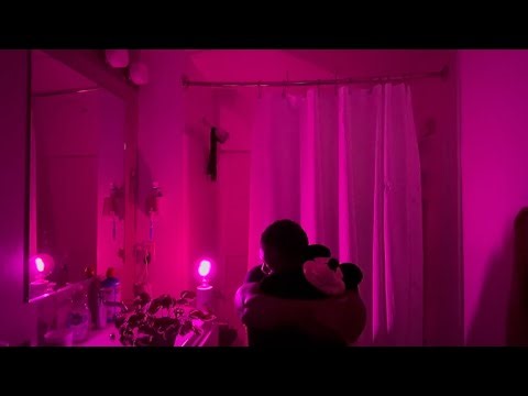 Ultimate Shower Sounds for Sleep | Relaxing Shower Ambiance, Cozy Lighting & Stress Relief