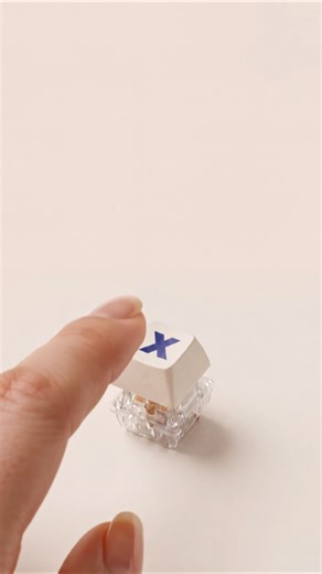 X-Day 📢 5/4 ~ 5/6 단 3일! 쿠폰런 OPEN 예정