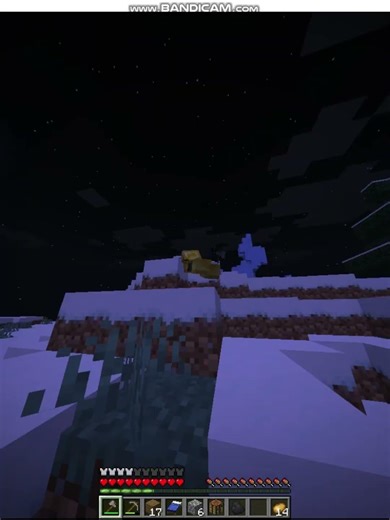 Latest Minecraft Java bug #actingchallenge #minecraft #helpmemakethismakesens