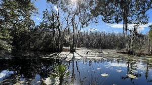 Chuck's Big Adventure in Charleston: Magnolia Plantation
