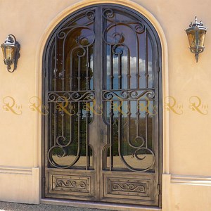 [Hot Item] Front Door Wrought Iron with Frame and Sidelights Exterior Front Wrought Iron Door Inserts