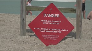 Officials: Avoid 'all contact' with water at Maumee Bay State Park, swimming not permitted due to algal bloom toxins