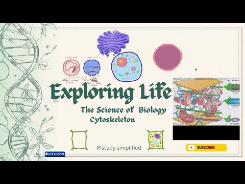 Biology lecture no.7 CYTOSKELETON #study simplified