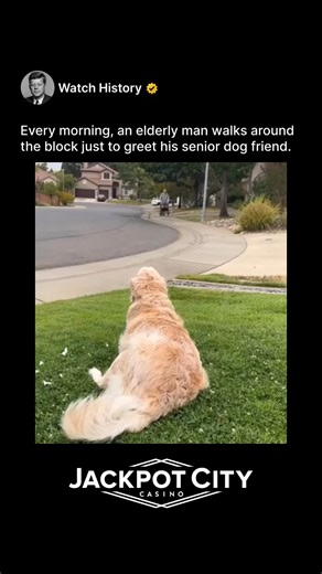 @watchhistory on Instagram: "(191) An elderly man in a retirement community takes a deliberate morning walk each day. His destination isn't the mailbox, but a neighbor’s fence where an equally elderly dog waits for him. Their gentle, silent greeting—a hand through the fence, a nuzzle—is a ritual of companionship that defies species and speaks to the universal need for routine and affectionate recognition in later years. This quiet pilgrimage is about more than exercise; it’s about maintaining a