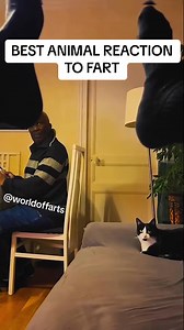 Best animal reaction to fart ! #fart #animals #farting #compilation #pets #viral | World of farts
