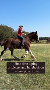 44K views · 945 reactions | We’re getting ready for fall shipping day...