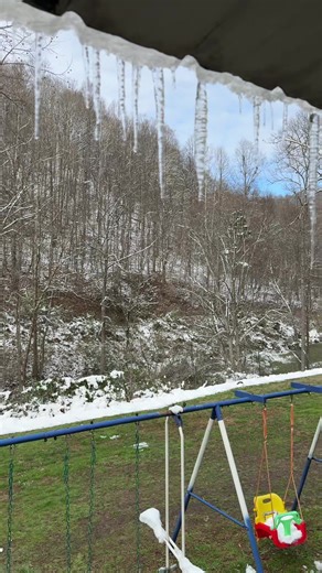 Gg (@ginger52baf2025)’s videos with Wonder of Nature - Zoenado