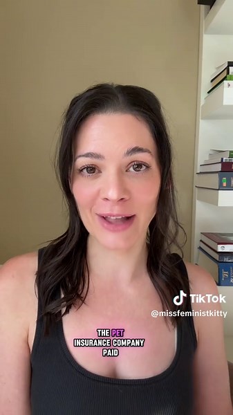 Understanding Cat Health Insurance Costs and Benefits