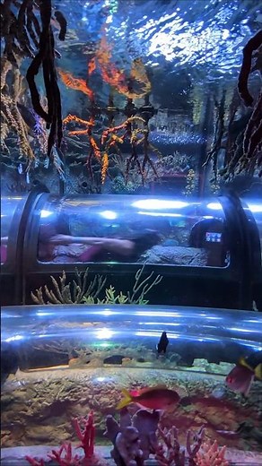 Terror runs deep 🦈ྀི Haunted SEA LIFE Aquarium