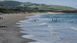 Council agrees to groyne report