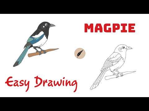 How to Draw a Magpie Easy Bird Drawing Tutorial for Kids & Beginners #lidoartworks