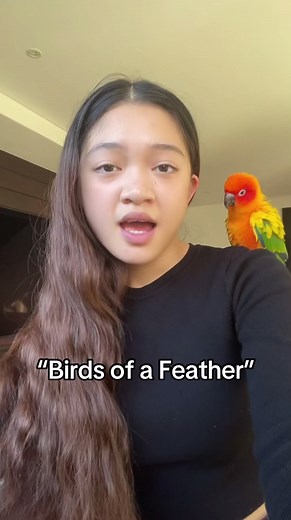 Karaoke with My Baby - Billie Eilish Birds of a Feather Conure Sing Along