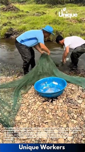 Stream fishing with a net: people catching fish in a stream