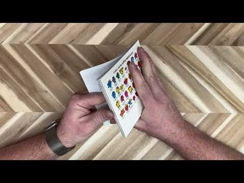 Little Miss Neat from the Little Miss series of books