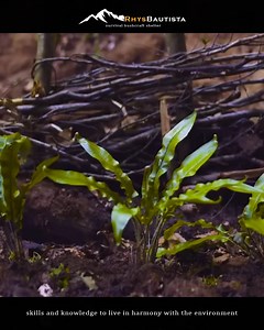 Mastering the art of bushcraft: Building a shelter from nature's gifts. 🌲🛠️ #BushcraftSkills #NatureCraft" | The Forest Path