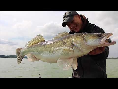 On Zander with Sebastian Hänel