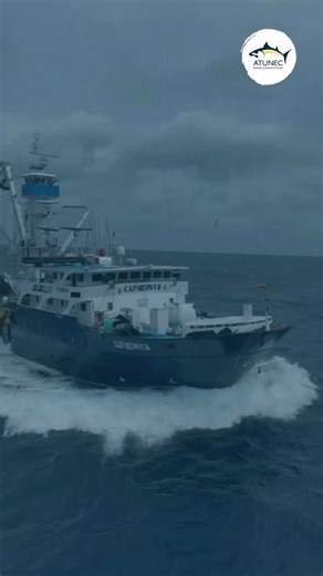 🌊🐟 La pesca sostenible no es solo una práctica… es una forma de respetar la vida. Significa saber cuándo detenerse, cómo hacerlo mejor y por qué cada decisión en el mar importa. Es ciencia, compromiso y amor por el océano. 💙⚓ #PescaSostenible #Atunec | Atunec