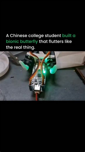Artificial intelligence | Technology on Instagram: "A Chinese college student just built a bionic butterfly that flies almost exactly like the real thing. Light carbon fiber bones, paper thin wings, and rapid flapping that feels straight out of nature. What makes this wild is the scale. Stable flight at this size is incredibly hard, yet this tiny machine glides through the air with natural, unpredictable movements that look alive. It’s beautiful to watch, but it’s also a glimpse of what’s coming