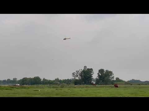 Align T-rex 450 tail motor - HCMC