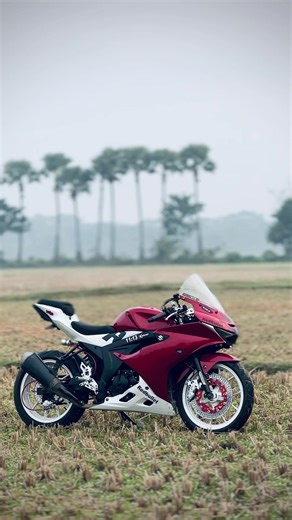 Exploring the Dream of Riding a GSX-R150