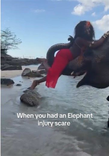 I was so scared when I heard that sound #elephant #phiphiisland #viral #ifb #blowup?