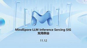 MindSpore LLM Inference Sercing SIG 周例会（2025.11.12）