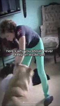 The Deadliest Exotic Pets #Pets #Animals #Exotic #Shorts