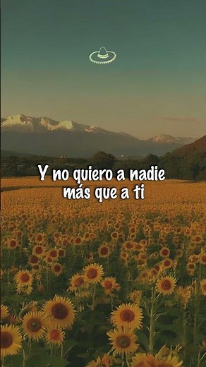 Natalia Lafourcade - Amor, Amor de Mis Amores ft. Devendra Banhart (Letra/Lyrics) #shorts