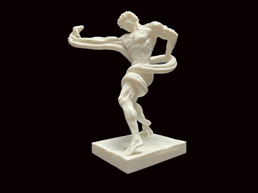 An Athlete Wrestling With a Python - Etsy