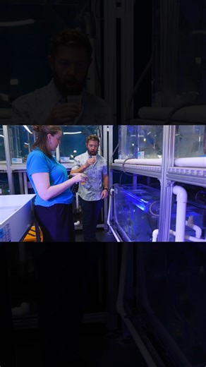 Behind the Scenes Feeding Jellyfish | Forrest Galante