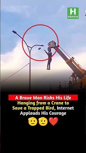 Brave Man Hangs from Crane to Rescue Trapped Bird, Internet Applauds His Courage