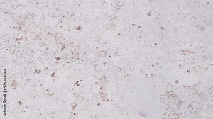 Rolling dice in Dungeons and Dragons board game. Throwing 20 sided dice in role playing board game Stock Video