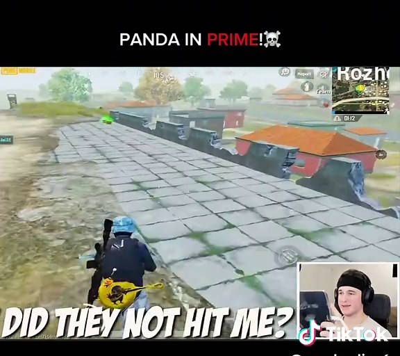 Panda in Prime: Pubg Mobile Gameplay Highlights