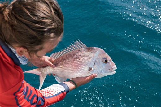 Major fishing closures announced for Western Australia - Fishing World Australia