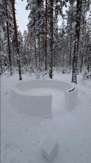 I’m trying to build a Igloo Snow House into middle of the Forest 🌲❄️#igloo