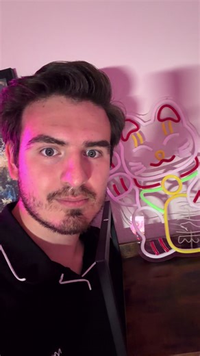 This is how to tell the difference between a American Cat and Asian Cat!