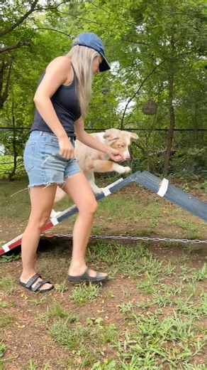DIY A-Frame for puppy agility #diy