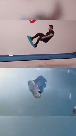 Sonic TRICKS IN REAL LIFE!