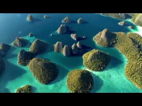#NossoPlaneta Como salvar o nosso planeta