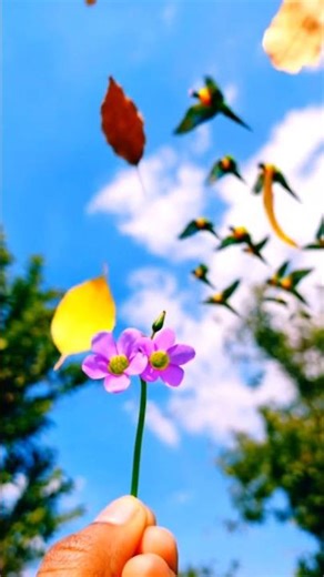 2026's MOST Shocking Trends in Viral Nature Videos #viral #shorts #flowers #butterfly #beautiful