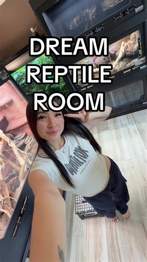 Reptile room tour — dream reptile room revealed
