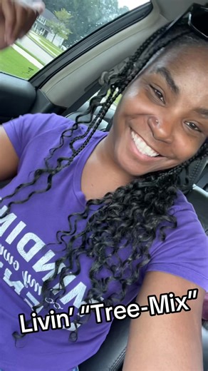 Livin’ Tree-Mix: A Unique Music Remix Experience