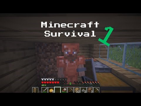 Minecraft Survival (Part 1) New Start